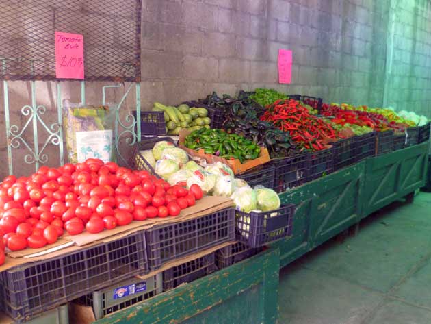 Beautiful vegetables for sale in a side alleyway of the Los Globos open air market, in Ensenada, Baja California Norte, Mexico.