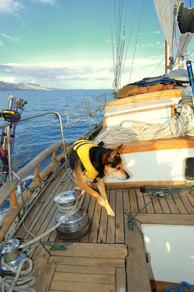 ToMagBay 5 On To Bahia Magdalena  From The Backlog